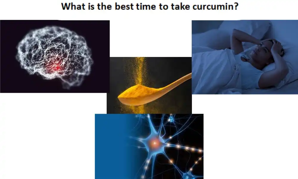 What is the best time to take curcumin?